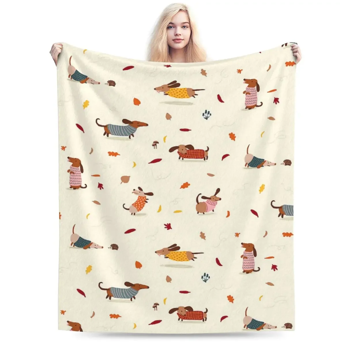 �ڽ���Ʈ ������ ���, �ε巴�� ������ �ö��� ������ ��� Ŀ��, ħ�� �Ž� ��ũ�� ���� Ȩ ����