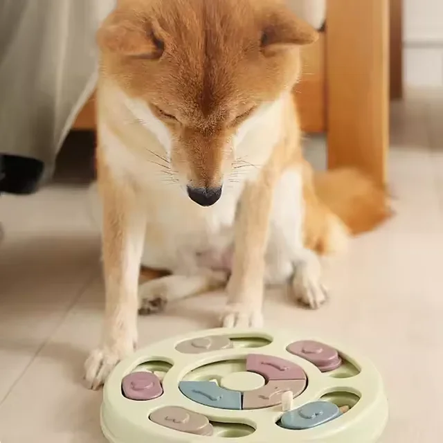 Dog educational toys, anti-choking bowl, slow feeding tray invisible food bowl non-slip dog bowl cat bowl pet fun supplies 4