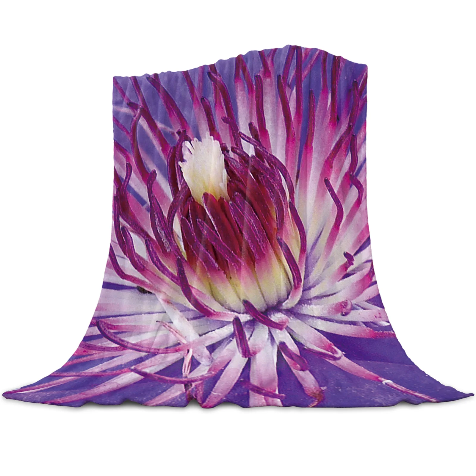 ����� ���� ������ ���� ��� ���� �ö��� ���, �߻� ����� �ε巯�� ��� ���� ħ�� ���� ħ�뺸�� ����