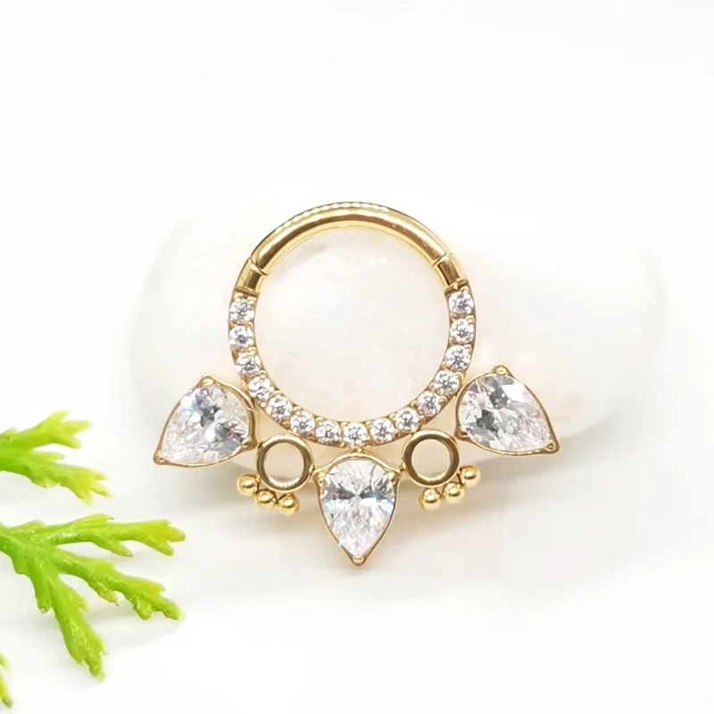 G23 Titanium Piercing Earrings Nose Rings Zircon Hight Segment Rings Clicker Open Small Nose Septum Helix Piercing Body Jewelry