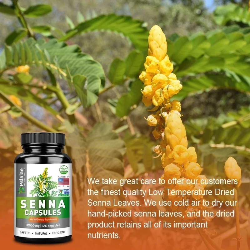 Gut Cleanse Detox Natural Senna Capsules Promote Intestinal Cleansing and Detoxification Relieve Constipation