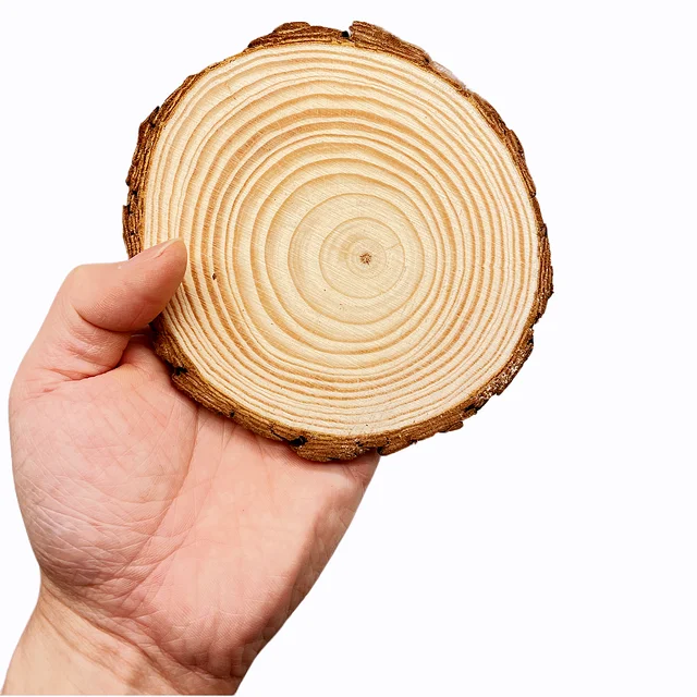 Natural Pine Wood Slices 5