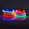 Nylon LED Night Safety Flashing Glow In The Dark Dog Leash Dogs Luminous Fluorescent Pet Dog Collar 4