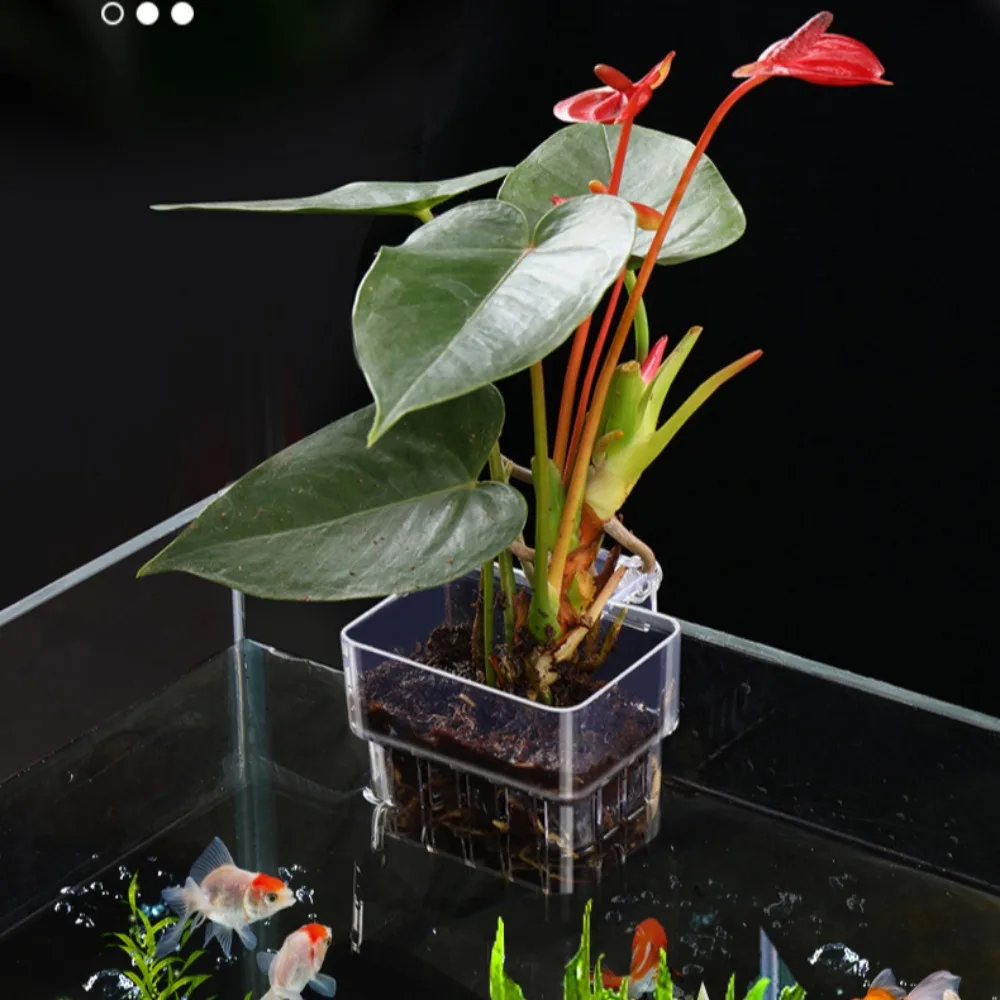 Fish Aquarium Water Grass Cup Multiple Plant Hydroponics Hydroponic  Planting Basket For Fish Tank Landscape Home Garden - AliExpress, image size:1000x1000