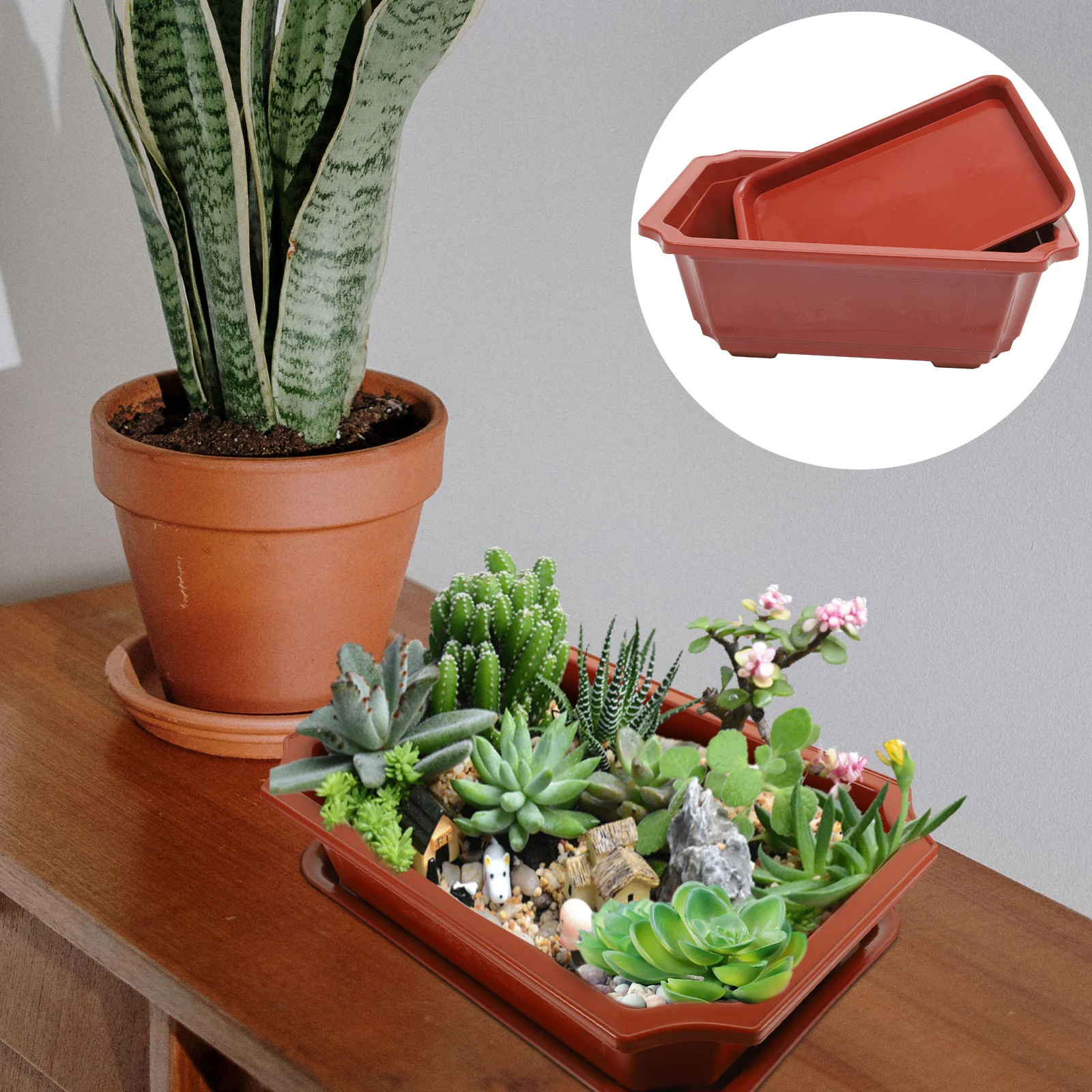 

Bonsai Training Pots Drainage Tray Plastic Bonsai Plants Growing Pot Large Flower Pot Planter Garden Yard Office Living