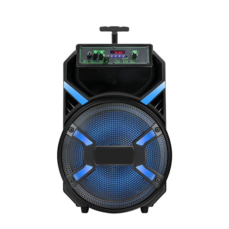 Professional 15 inch trolley wireless MIC Audio with USB /TF /FM Radio speaker