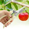 2Pcs Garden Scissors Pruner Fruit Tree Pruning Shears Hand Gardening Grafting Tool Powerful Trimmer Applied to Flowers Branches 6