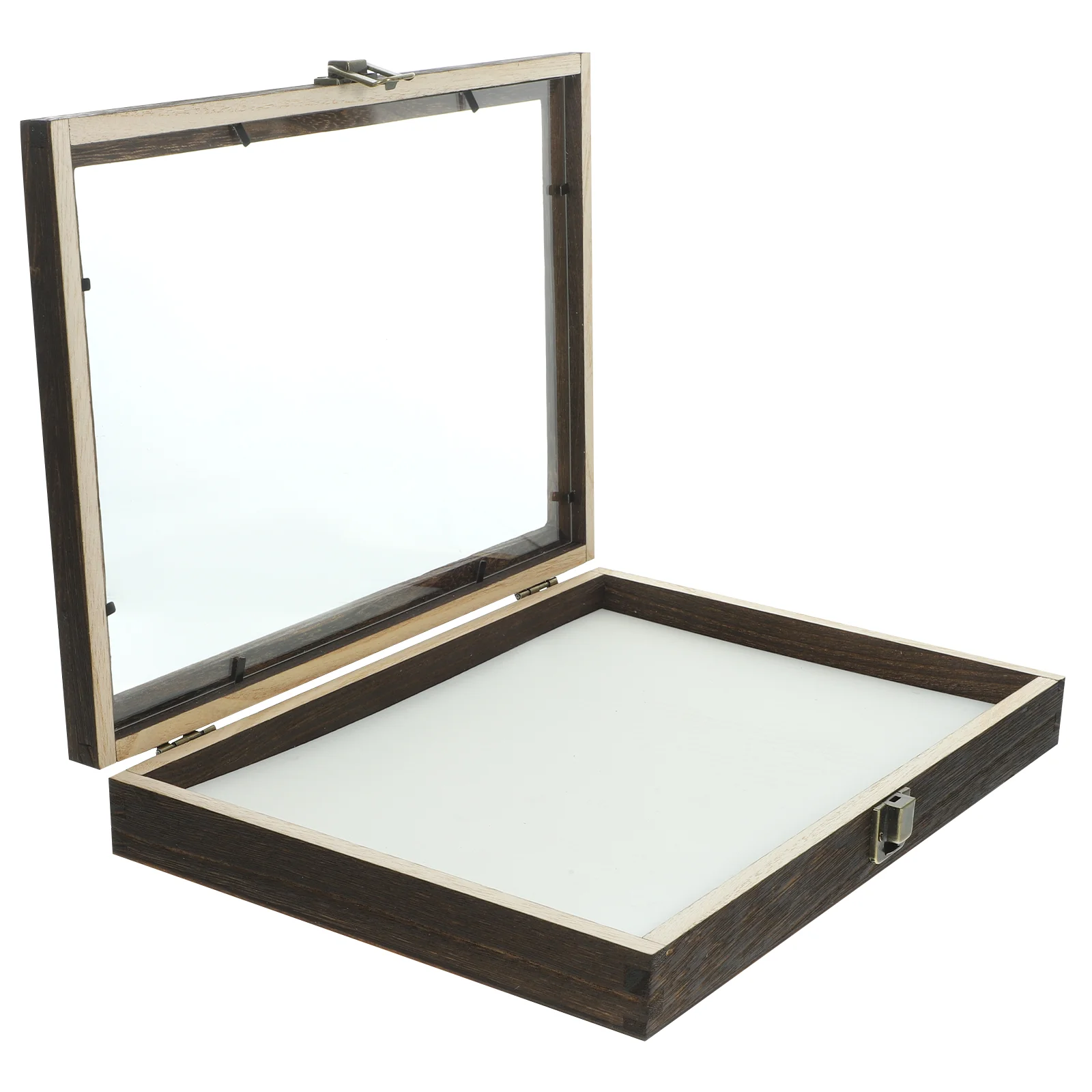 

Sets Display Case Clear Glass Top for Collecting Butterflies and Bugs in Museums