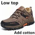 Khaki-02 cotton