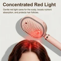 Nouvelle brosse à cheveux électrique humide avec pulvérisation d'eau, lisseur vapeur rechargeable, charge USB-C pour cheveux longs et courts 4