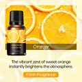 Sweet Orange