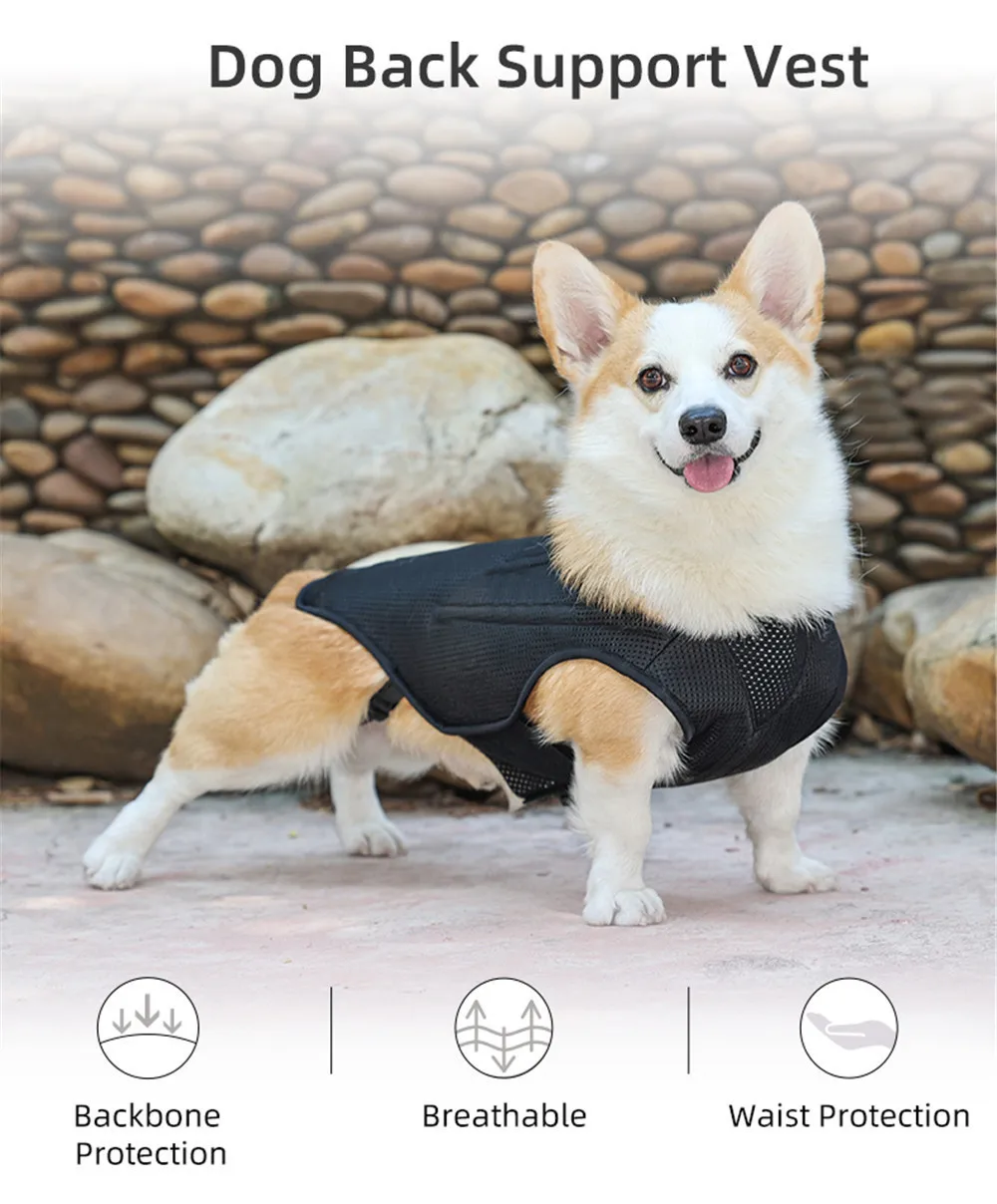 Pet Dog Back Protective Vest IVDD Intervertebral Disc Disease Recovery Brace Pet Back Pain Relief Support Harness Pet Supplies