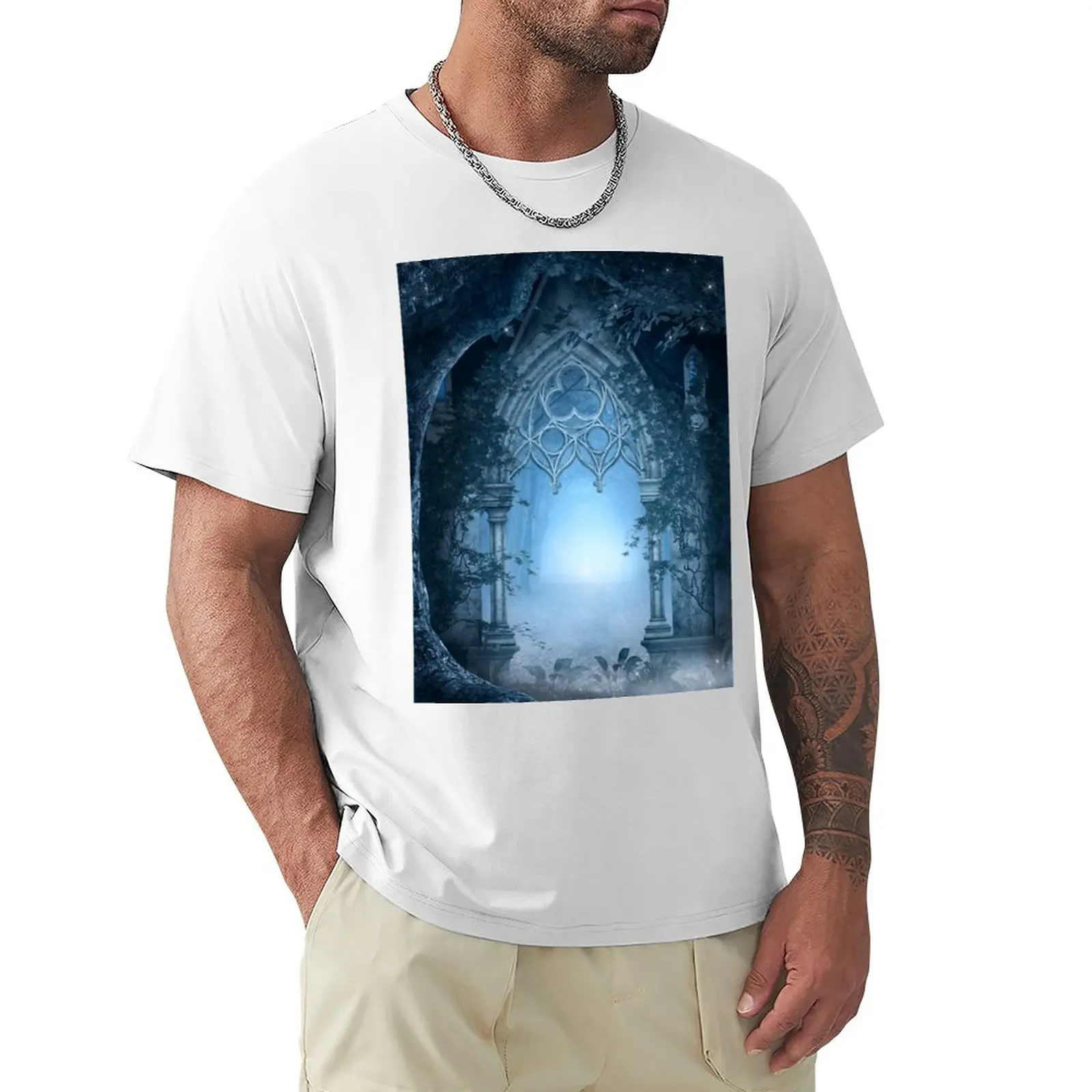 

The blue enchanted passage T-Shirt customizeds oversized Aesthetic clothing t shirts for men cotton