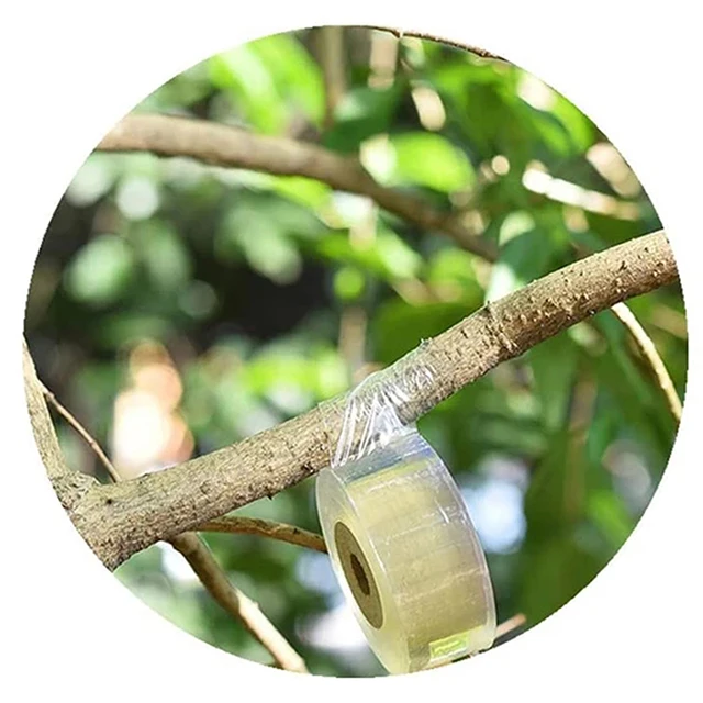 3 Cm-Es Óvodai Biológiailag Lebontható Oltószalag Tekercs Nyújtható Ön Adagoló Fehér Növénykötéssel - Image 3