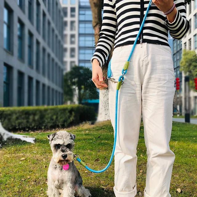 Reflective Nylon Leashes Pet Dogs Chain Traction Rope Leads for Running Dog Walking Free Hands Rope Chain for Small Large Dogs Reflective Nylon Leashes Pet Dogs Chain Traction Rope Leads for Running Dog Walking Free Hands Rope Chain for Small Large Dogs