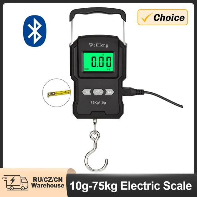 WeiHeng Portable Mini Digital Hand Held 75Kg 10g Fish Hook Hanging