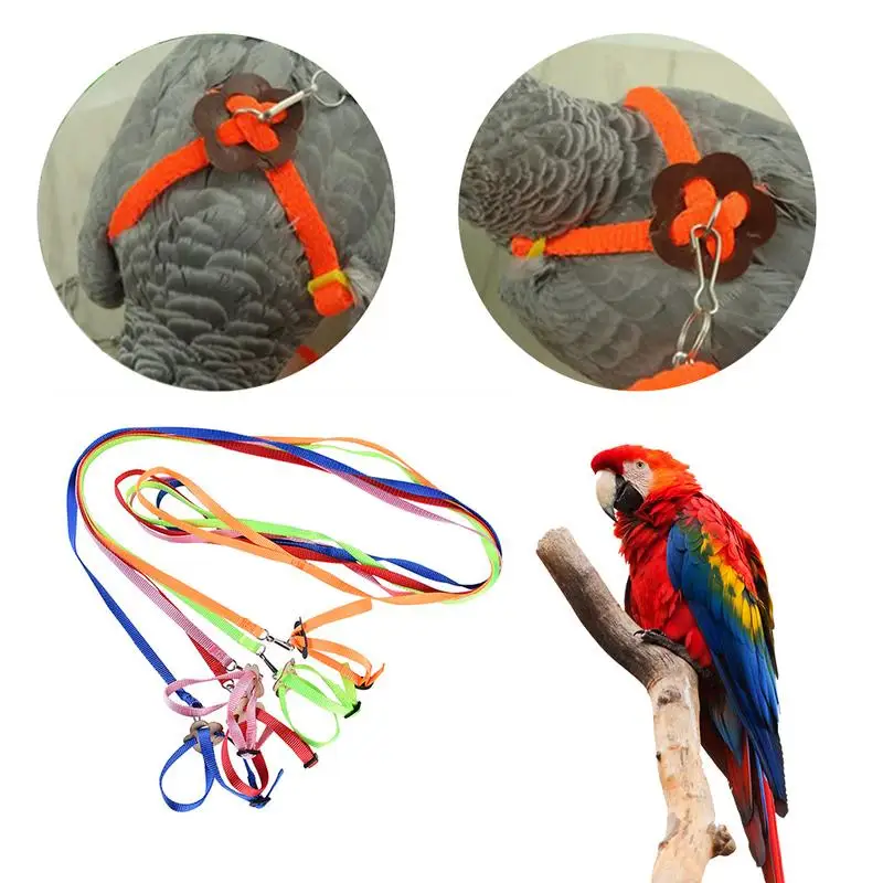 Cockatiel Harness Bird Leash For Parrots Pet Parrot Bird Leash Adjustable Training Design Anti-Bite Suitable For Mini Macaw And
