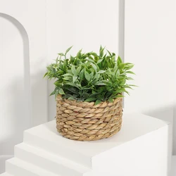 Eucalyptus Grass Woven Potted Plant - Small 11cm Artificial Greenery - 10-11cm (Plant 01)
