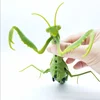 NEW Infrared Remote Control Cockroach Simulation Animal Creepy Spider Bug Prank Fun RC Kids Toy Gift High Quality Drop Shipping 2