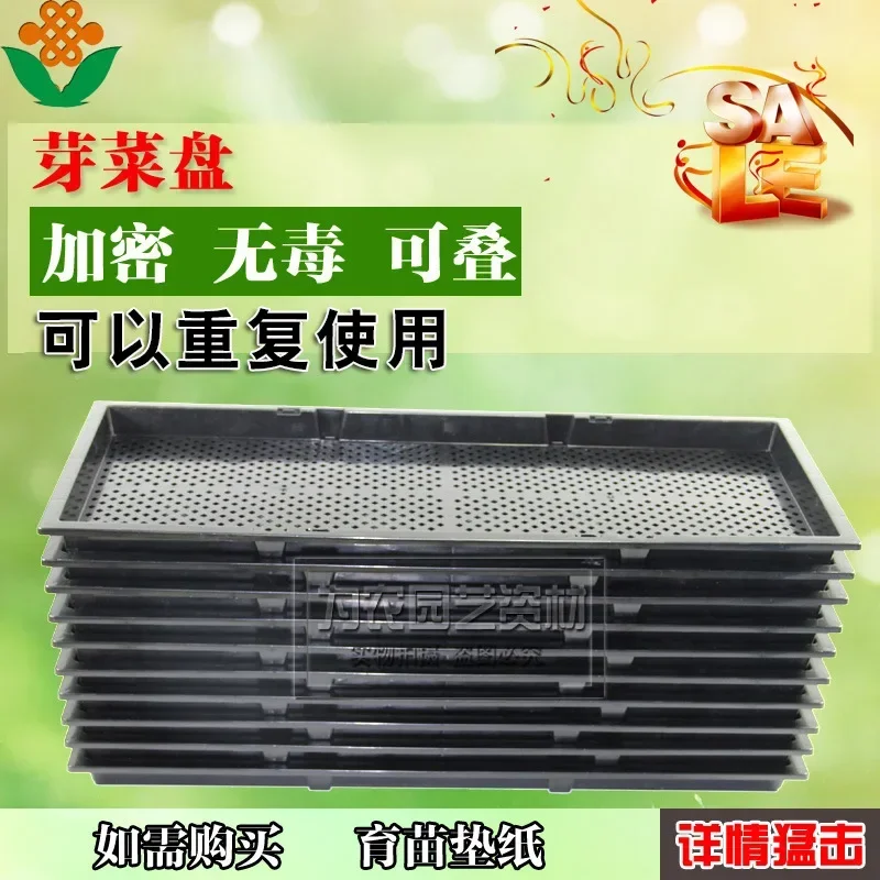 Planting Seedling Tray Sprouting Seedling Tray Succulent Sowing Culture Box