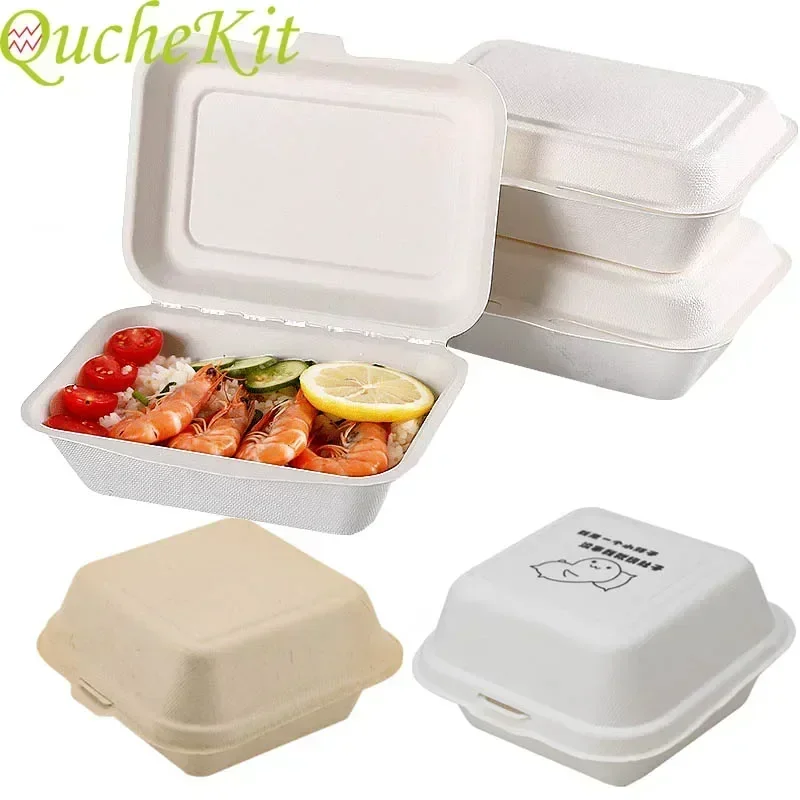 Eco-Friendly Disposable Bento Lunch and Party Packaging Box