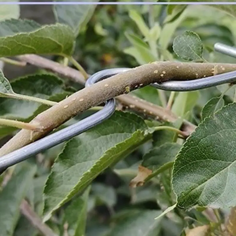Limb Spreaders For Fruit Trees 20PCS Metal Tree Puller Tool Multi-Purpose Flexible Bonsai Branch Bender Gardening Tying Branch