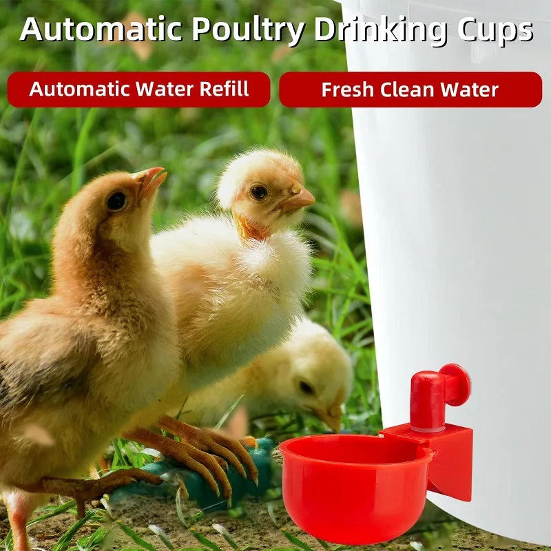 Chicken Drinking Cup Automatic Drinker Feeder Plastic Poultry Waterer For Chicks Duck Goose Quail