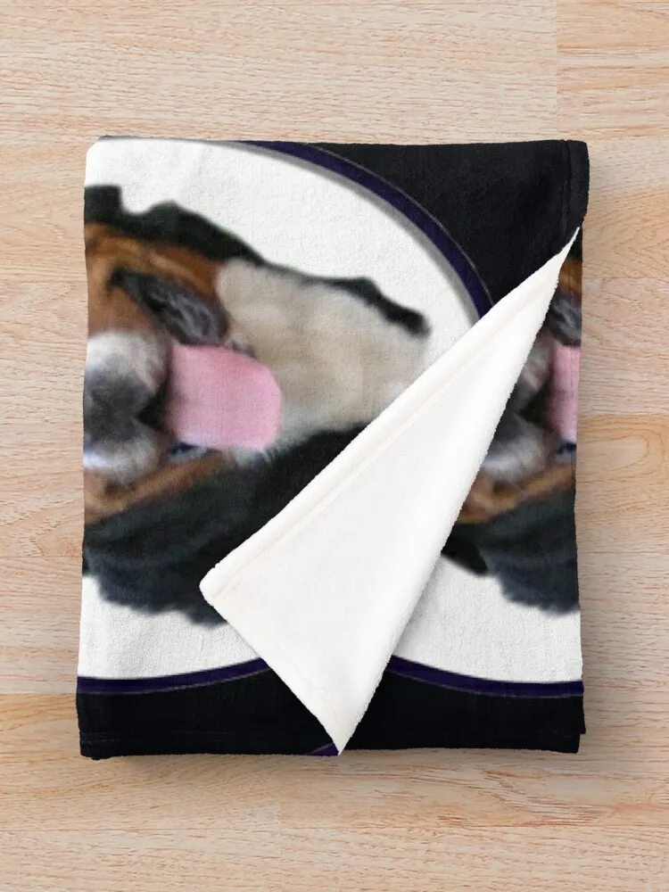 �׷����� ������ ��� �� ��Ʈ ���� ������ ���, ���� �ʴ��� ������ ���� �̺� ���