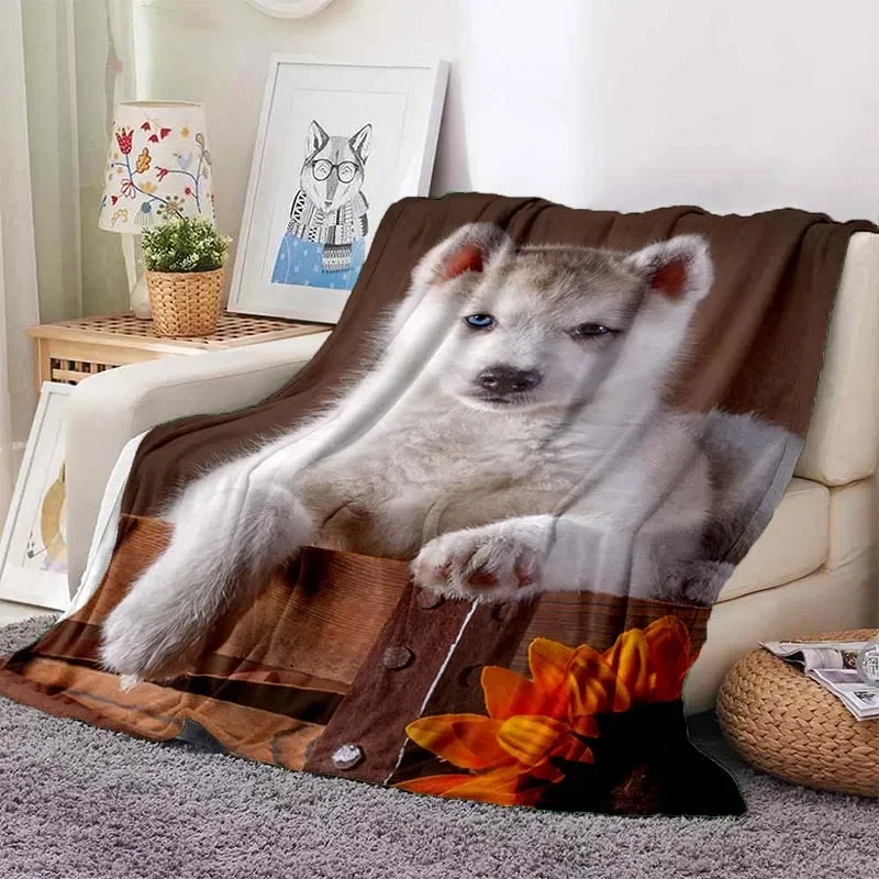 �����ϰ� �ƴ��� �㽺Ű �� ���� �ö��� ���, ����, ħ��, ����, �繫�ǿ�, �ε巴�� �ε巯�� ������ �μ� ���