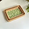 Rattan Shell Handmade Color Storage Round Home Living Room Light Luxury Picnic Fruit Plate Restaurant Sweets Advanced Tray 3