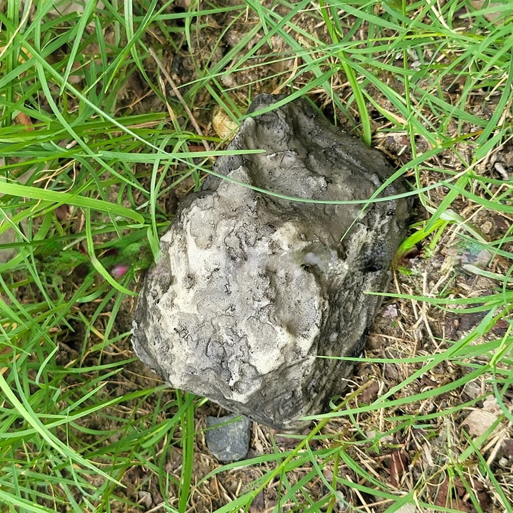 Garden Stone Hide a Spare Key Fake Rock Camouflage Stone Diversion Looks Like Real Safe Outdoor Yard Geocaching key hiding rock