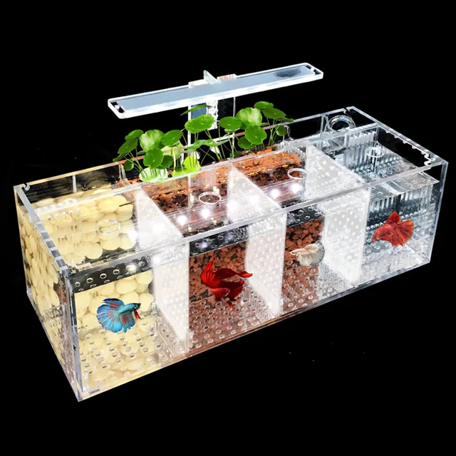 Acrylic Isolation Fish Tank with Multiple Compartments Stacked and Transparent Breeding Box Goldfish Fighting Fish Viewing Tank 1