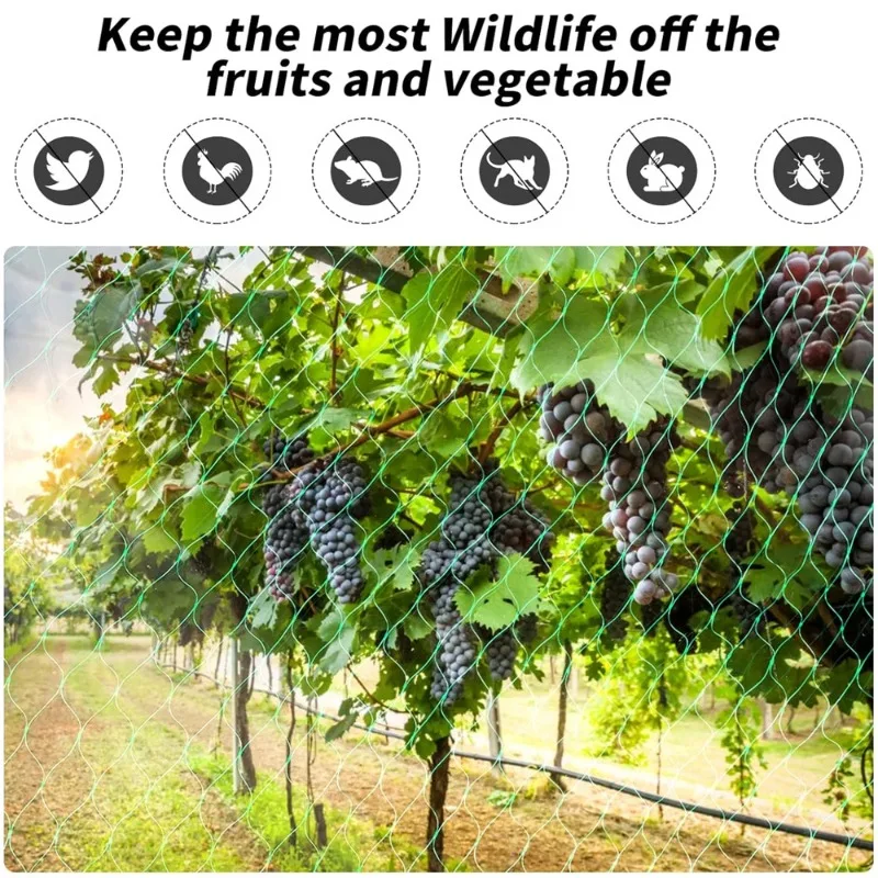 Description Picture 6 of itemMesh Anti Bird Nets for Garden Orchard Plants Flowers Fruits Vegetable Crops Protection Fencing Stretch Pond Pool Protection Net