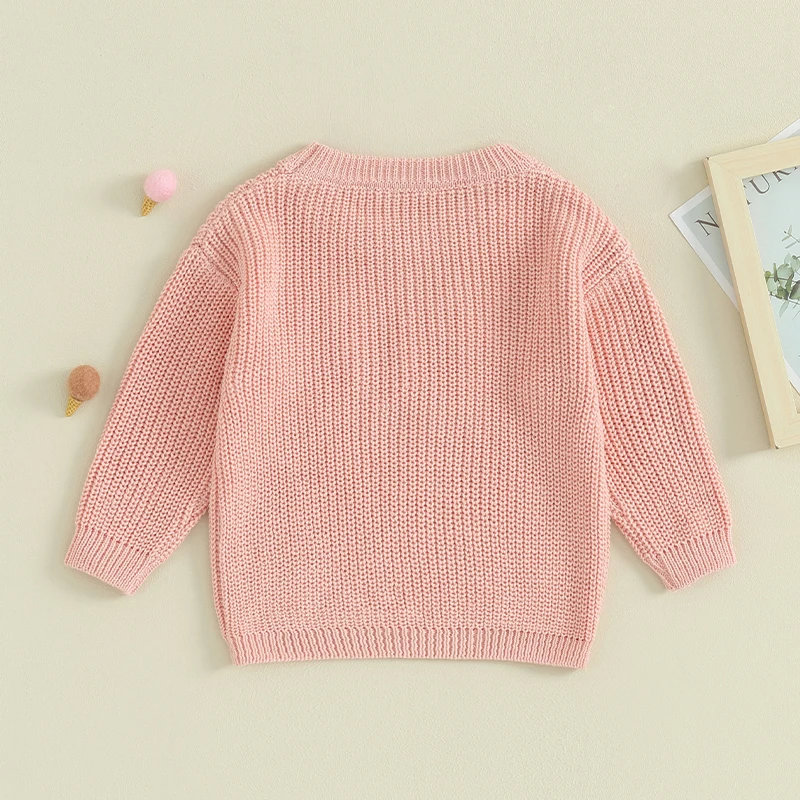 0-18M Baby Boys Girls Sweater Letter Flower Embroidery Cotton Warm Pullovers Fall Toddler Clothes Newborn Jumpers Tops