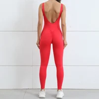 Gym Jumpsuit Woman Padding Sports Overalls for Women Tracksuit Push Up Sport Set Yoga Clothing 2025 Gray Black Red Coffee Navy - Image 4
