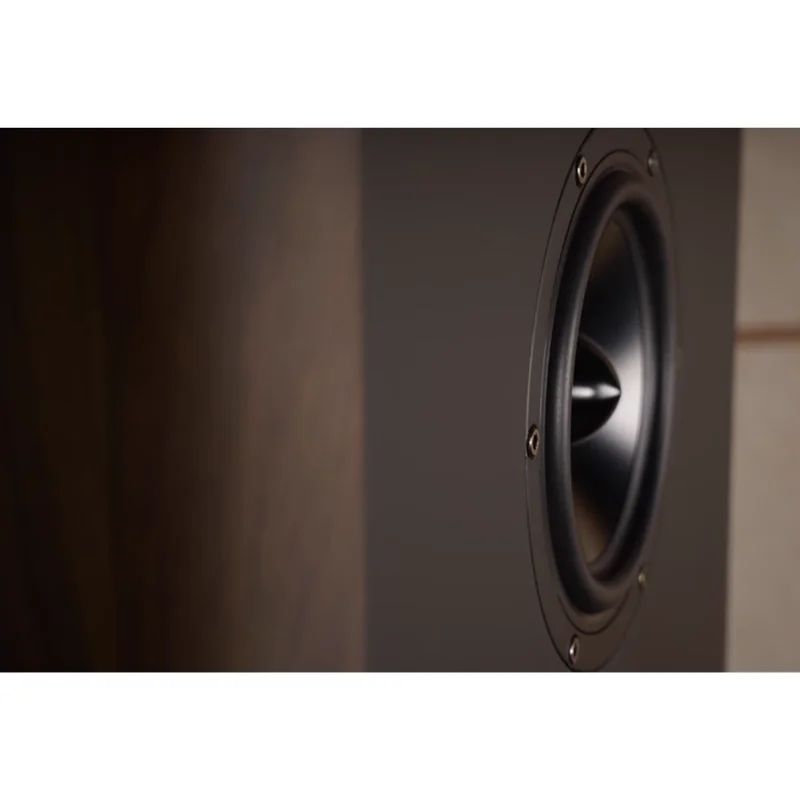 XY-03 QT10Plus Double 10 inch HiFi Fever Speaker 5.0/7.0 Home Theater Cinema System 300W ( RMS ) / 1200W ( PP ) 6ohm
