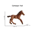 Camargue 1