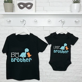 Big & Little Brother Dinosaur Tees 1