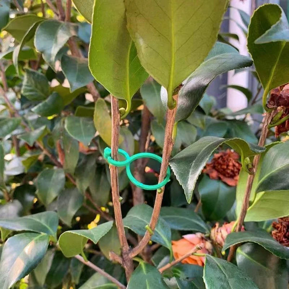 Plant Ties 50/100PCS Horticulture 8 Figure-Eight Buckle Plastic Plant Binding Fixed Cable Tie Multi-Functional Fixed Clamp Hoist Ring