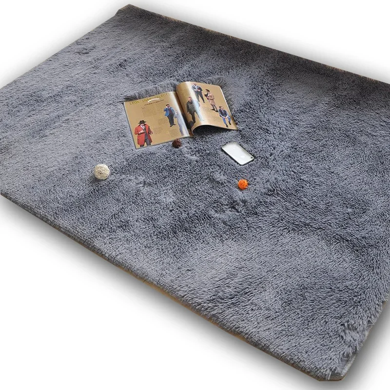 Anti-slip Large Floor Carpets For Living Room Modern Area Rug For Bedroom Soft and Comfortable Rug Custom 4.5cm thick 200*300CM