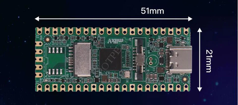 RISC V Leite V Duo