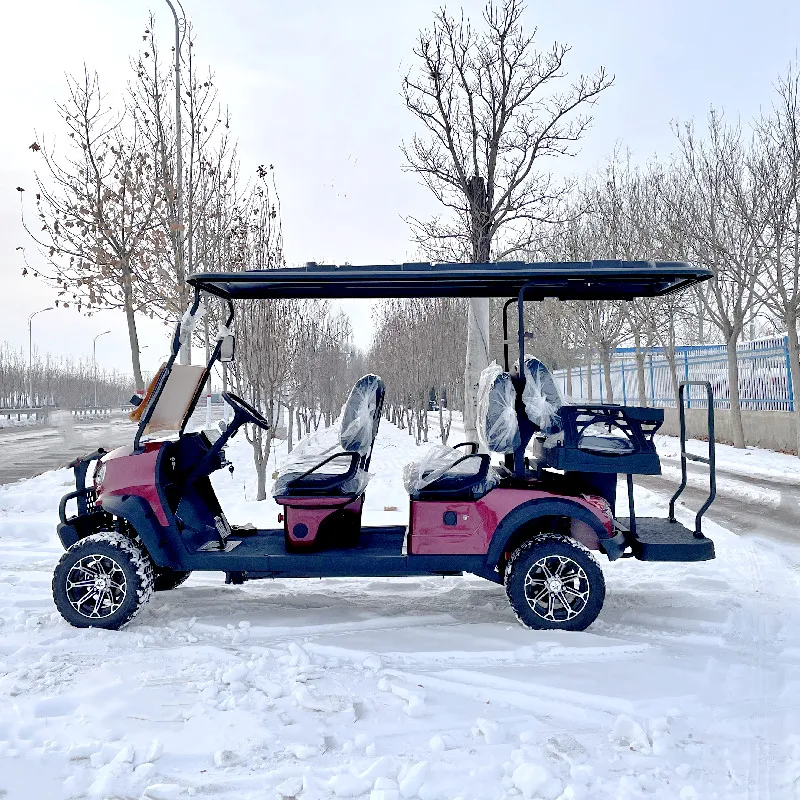 

Luxurious Classic Scenic Mini Tourist Car 6-Seater Electric Golf Cart 72V Electric Shuttle Bus-Sightseeing Car