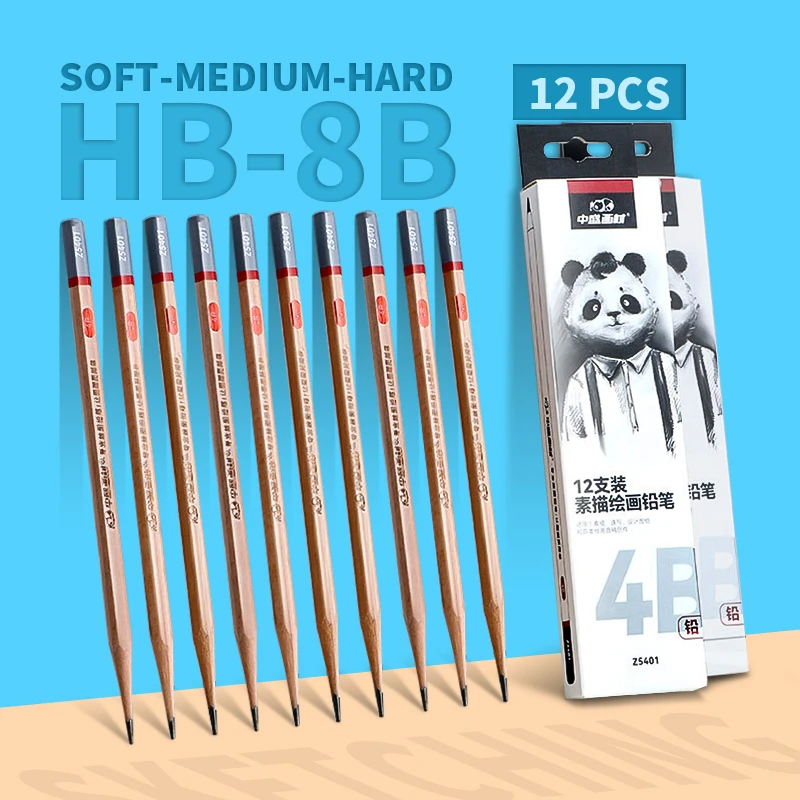 12 Piece Professional Sketch Pencils Set Drawing Pencil Kit For Artists Sketch Charcoal Pencil