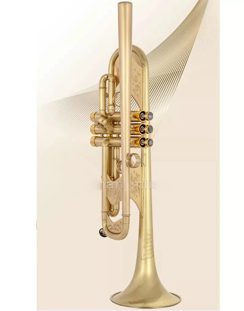 Built-in Mouthpiece Trumpet Heavy Horn 5.24&lsquo;&rsquo; Bell 1.9KG With Case