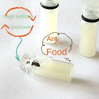 Cibo Speciale per Formiche: Pratico e Semplice, Altamente Nutriente, Resistente alle Muffe e Ricco di Proteine