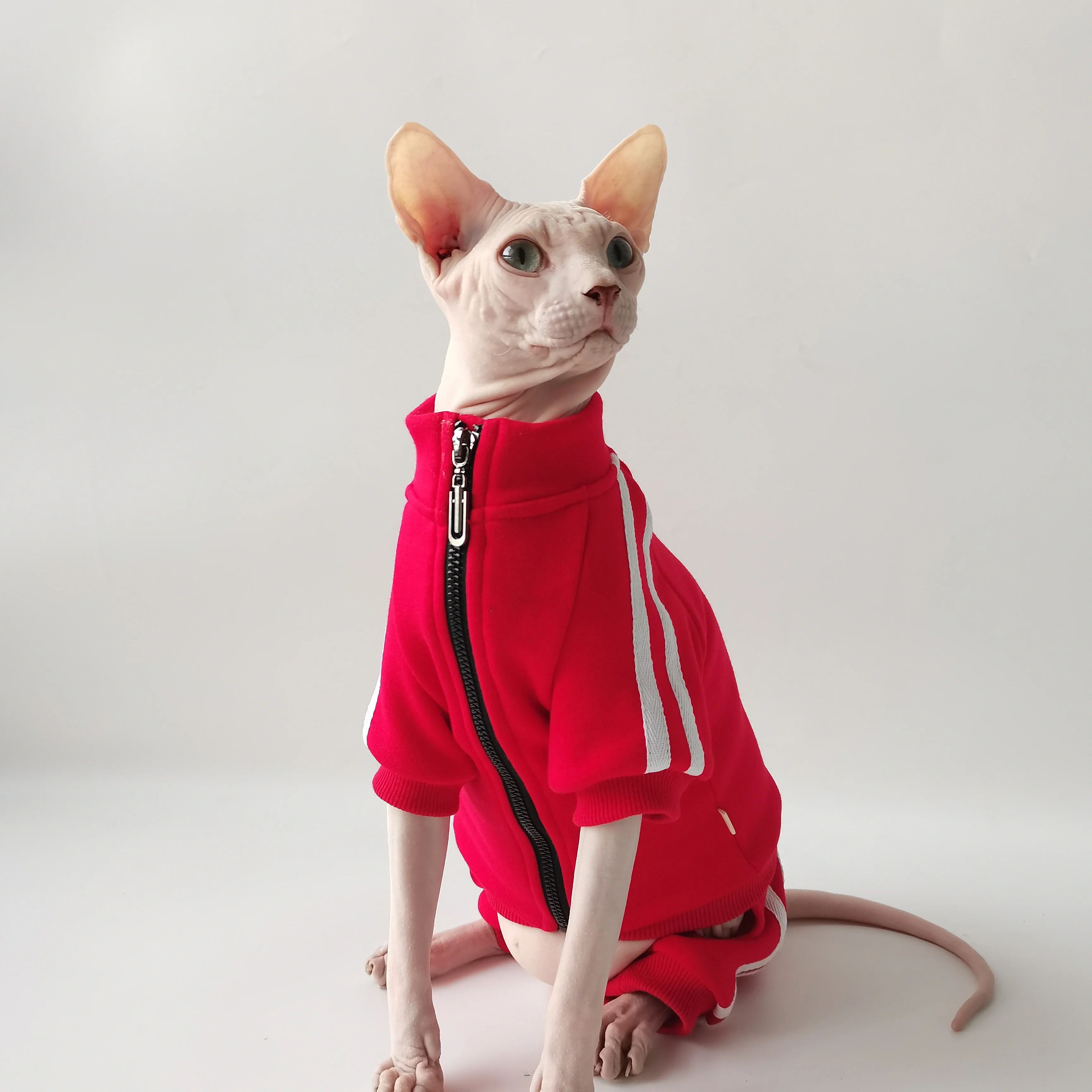 DOUJIN Hairless Cat Clothes Sphinx Devon Kenneth in Winter-XXXL