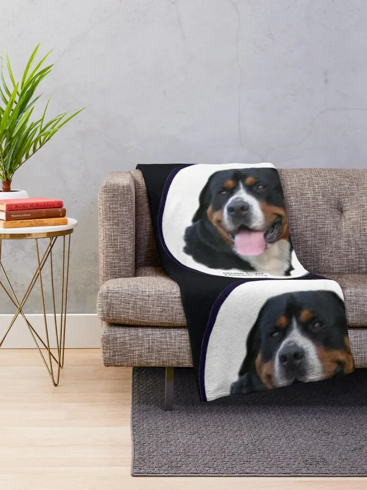 �׷����� ������ ��� �� ��Ʈ ���� ������ ���, ���� �ʴ��� ������ ���� �̺� ���