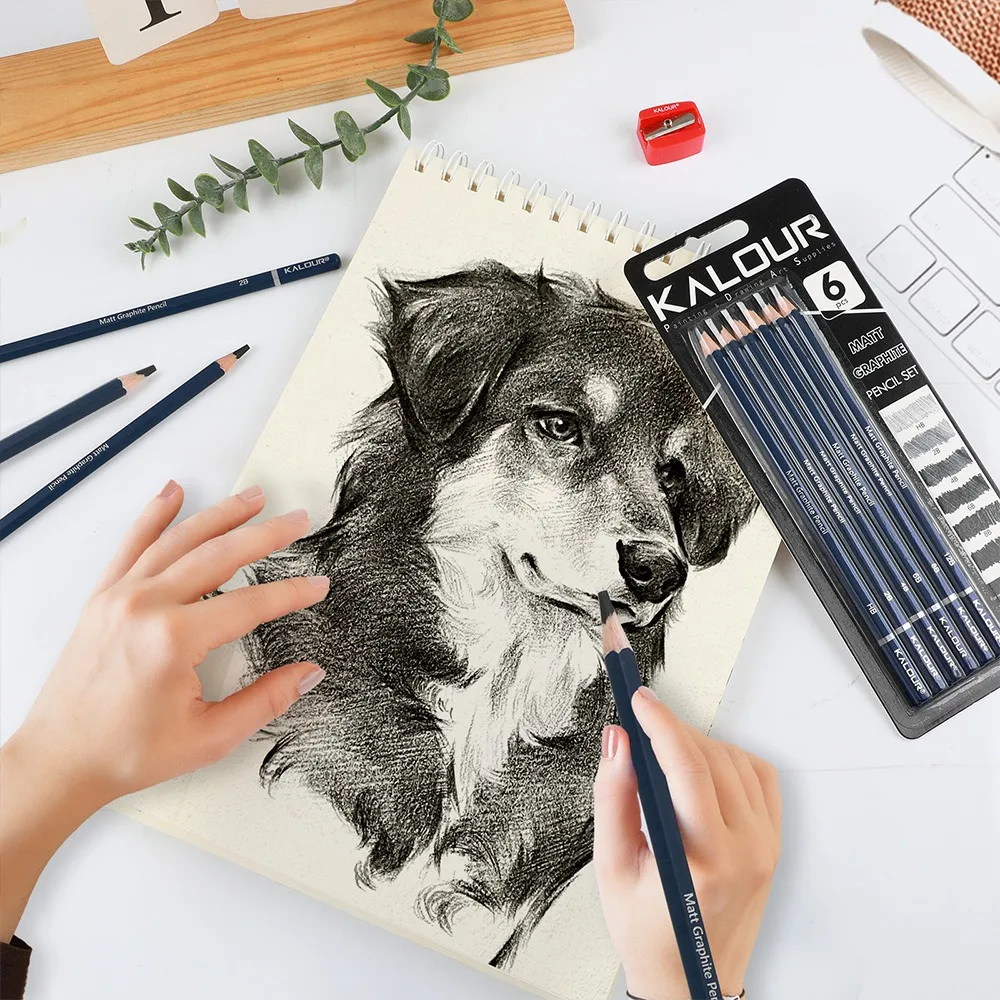 KALOUR PDAS Graphite Pencil Charcoal Pencils Set, 6/12pcs High Quality Drawing Materials Pro Artists Sketching Supplies zeichnen 4