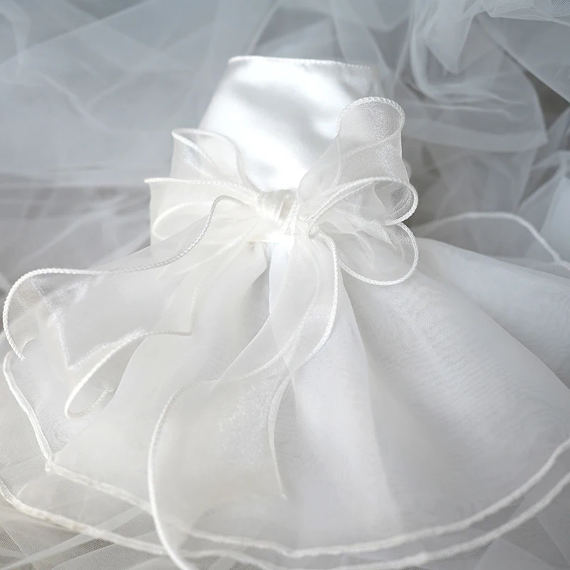 Luxury Pet Party Dress 5