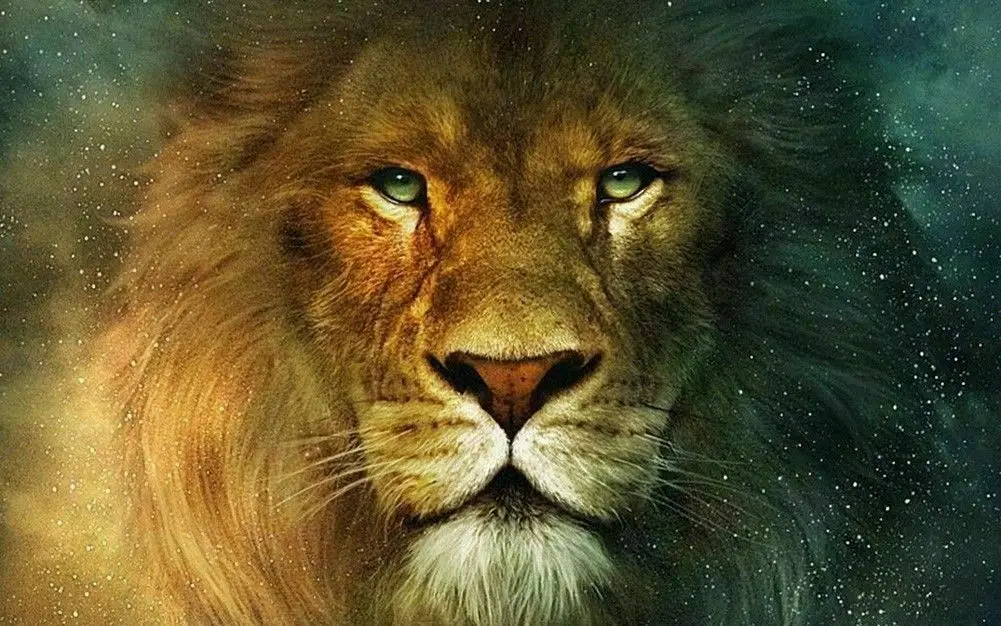 

Fire lion animal Art Picture Print Silk Poster Home Wall Decor